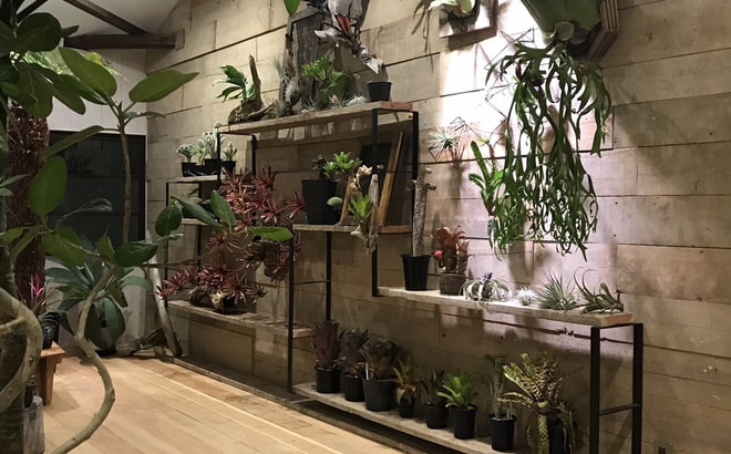 杉古材　施工例